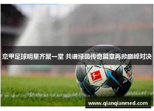 意甲足球明星齐聚一堂 共谱绿茵传奇篇章再掀巅峰对决