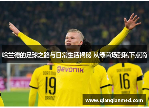 哈兰德的足球之路与日常生活揭秘 从绿茵场到私下点滴