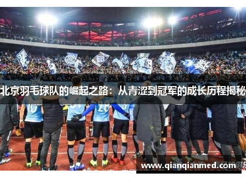 北京羽毛球队的崛起之路：从青涩到冠军的成长历程揭秘