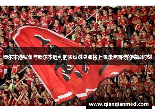 墨尔本港鲨鱼与墨尔本胜利的激烈对决即将上演球迷期待的精彩时刻